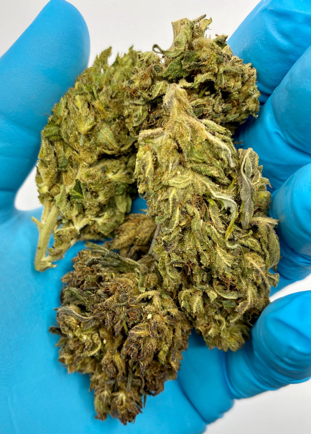 Bubba Merlot