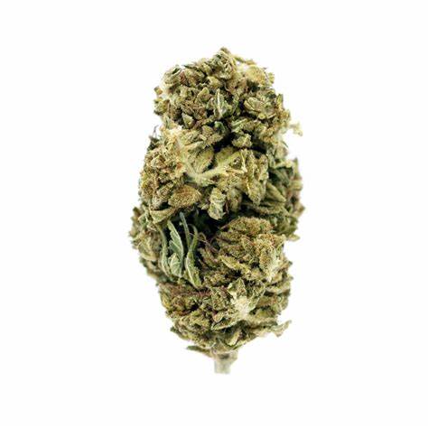 Frosted Lime