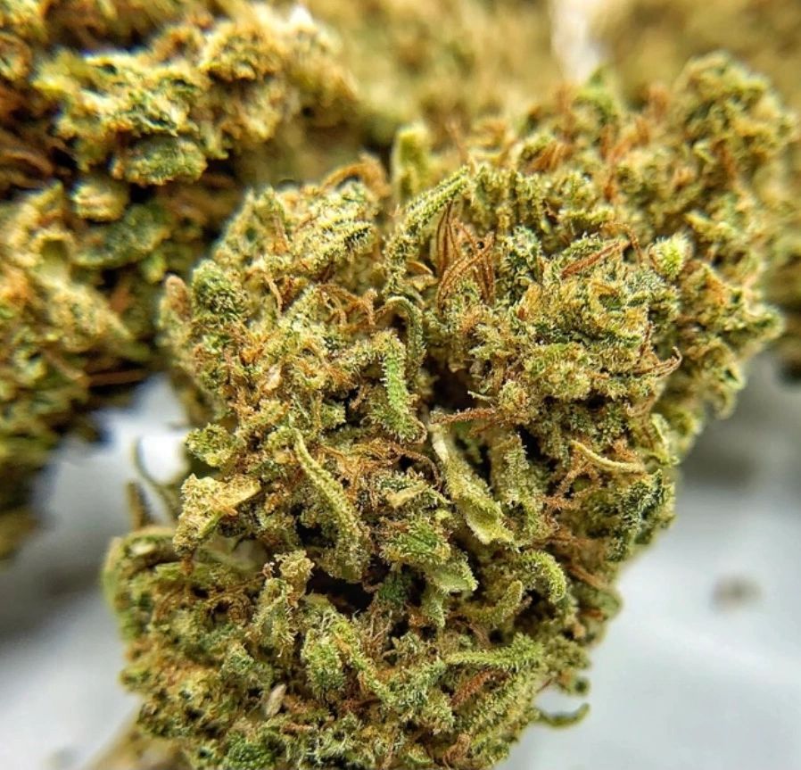 Mendocino Purple